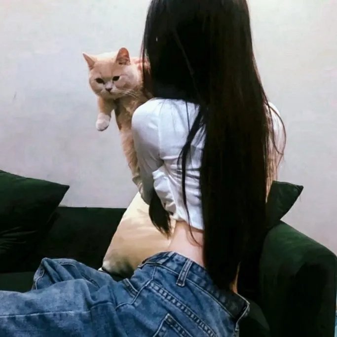 假面骑士:超越世代