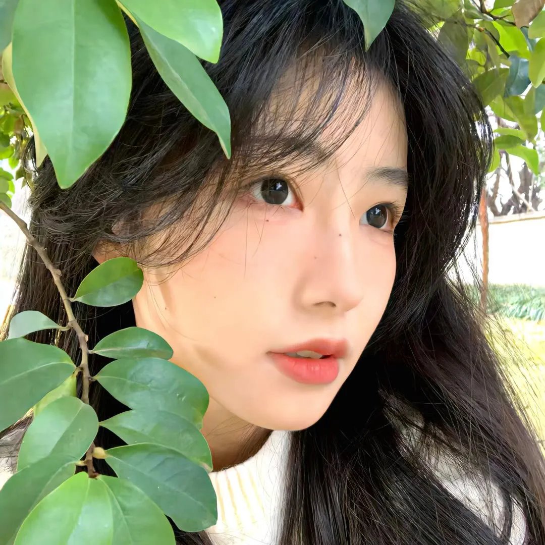 墨西哥的回忆
